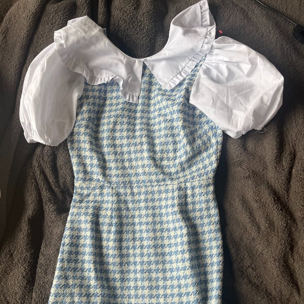 Miss Selfridge Collar Dress